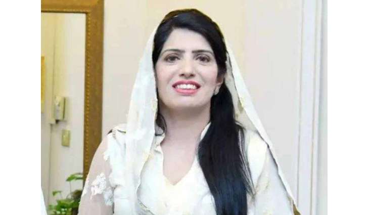 Aliya Hamza criticizes FIRs against PTI amid calls for reconciliation