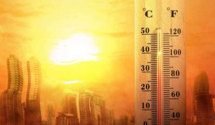 WMO confirms 2024 as warmest year on record