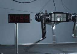 Chinese researchers unveil world's fastest quadrupedal robot