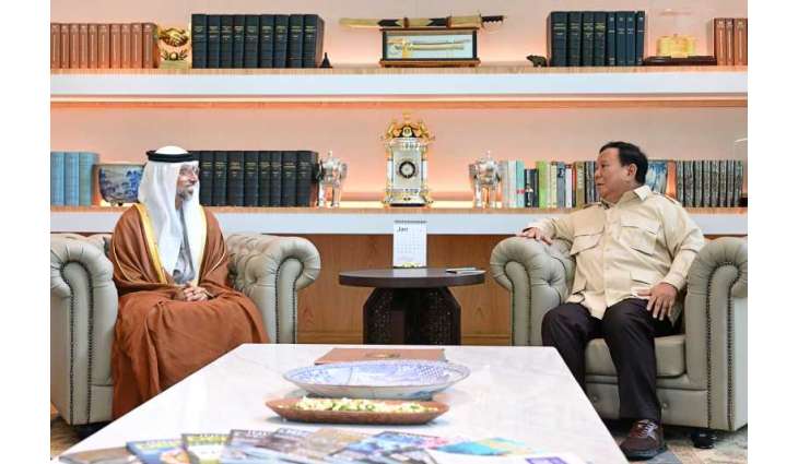 UAE, Indonesia review consolidating cooperation across various fields