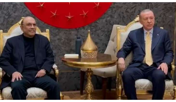 President Zardari meets Tayyip Erdogan, discuss mutual interest
