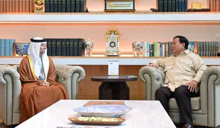 UAE, Indonesia review consolidating cooperation across various fields