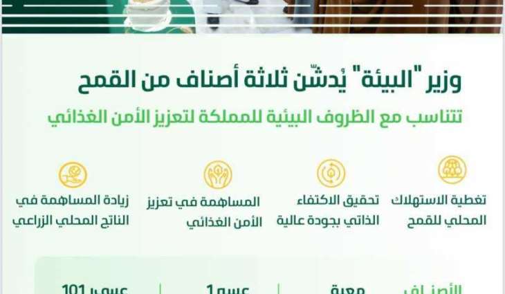 وزير 