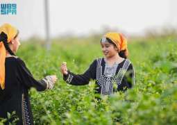 المزارع الريفية بجازان.. تجربة سياحية غير تقليدية في رمضان