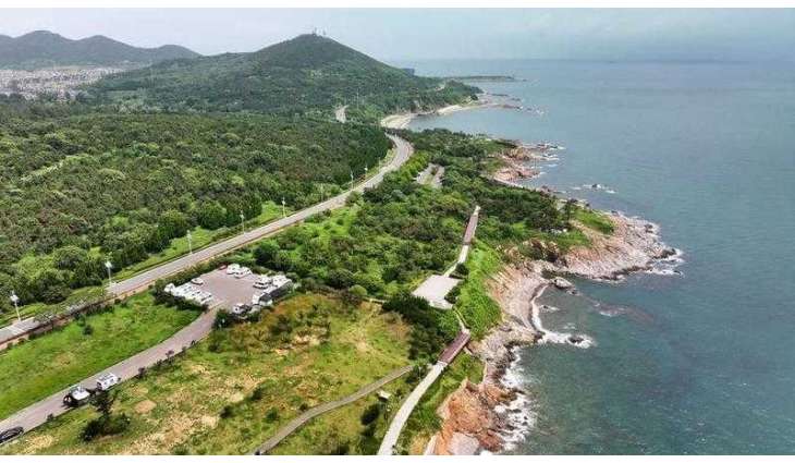 China's Qingdao leads coastal restoration efforts for marine sustainability