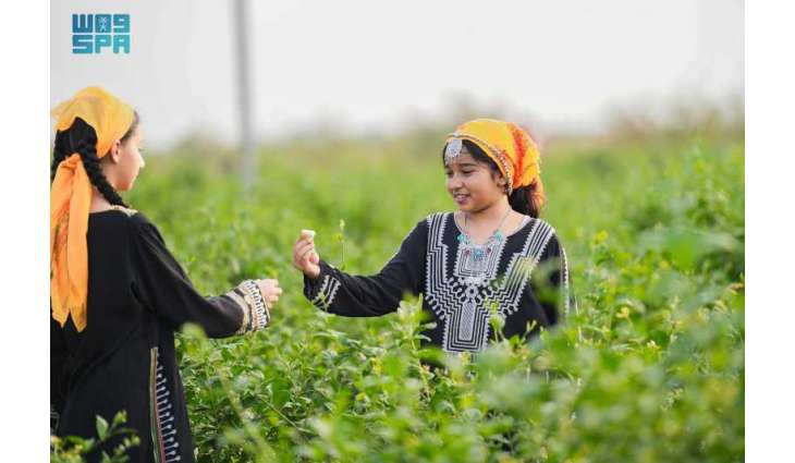 المزارع الريفية بجازان.. تجربة سياحية غير تقليدية في رمضان