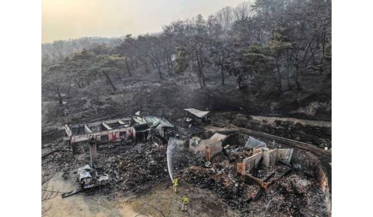 Korea battles multiple wildfires in southeastern region