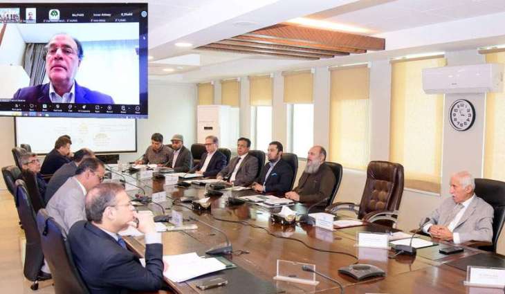 ECC of Cabinet assures full support for Reko-Diq Project