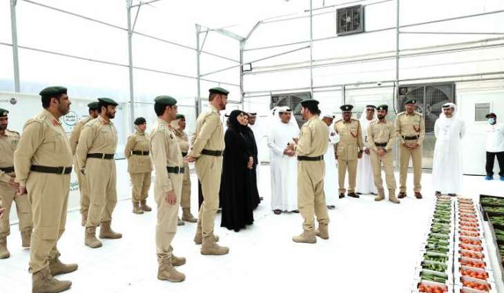 'Hasad' agricultural project a model for food security support: Minister of Climate Change and Environment