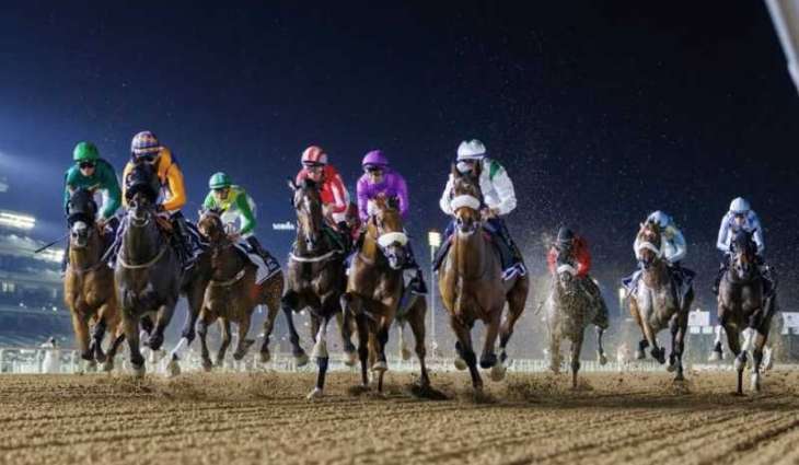 كأس دبي العالمي.. تاريخ من التميز والإبهار في سباقات الخيول