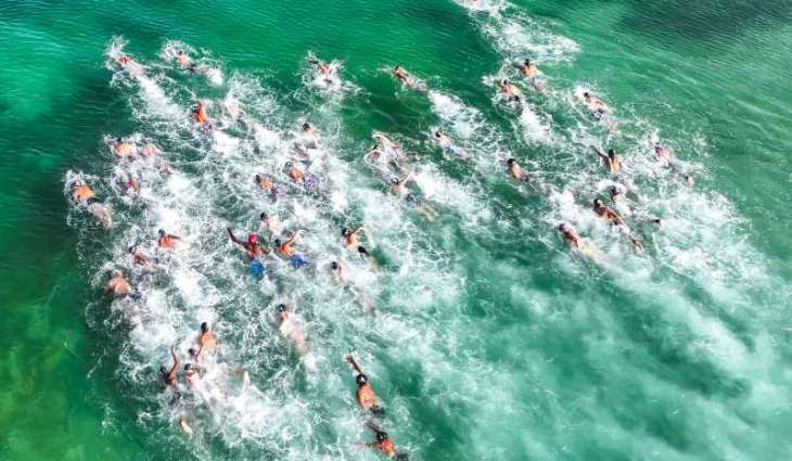 Dubai International Aquatics Championships attract 380 athletes for open water swimming, water polo competitions