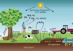 “Beyond Carbon: Why Pakistan Needs a New Climate Vocabulary”