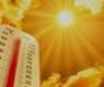 Weather update: Heatwave alert issued for Punjab, KP