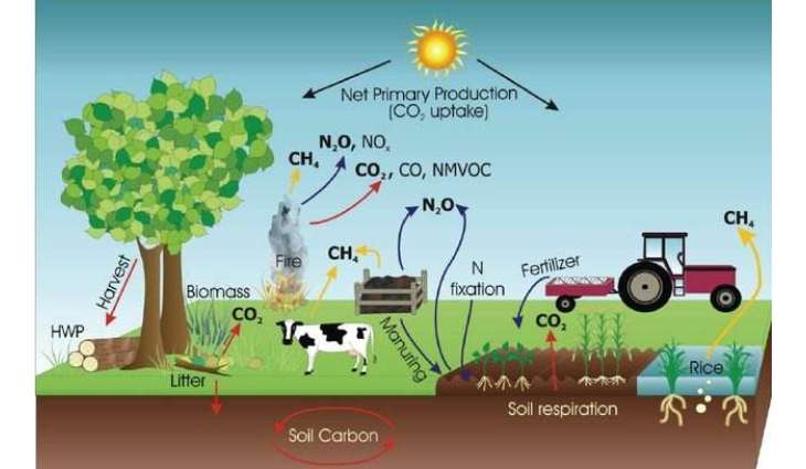 “Beyond Carbon: Why Pakistan Needs a New Climate Vocabulary”
