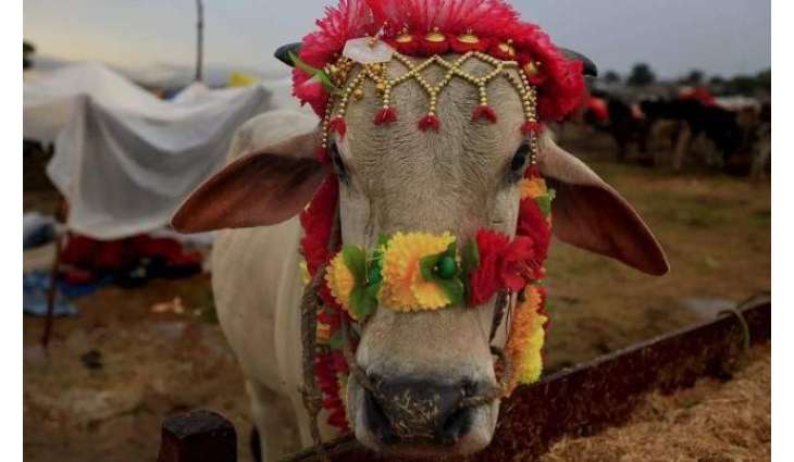 Eid ul Adha 2025 in Pakistan expected on THIS date