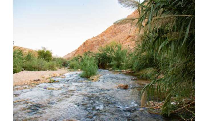 بين الجفاف والتعديات الاستعمارية.. مواطنو الأغوار يحرمون من مياه العوجا