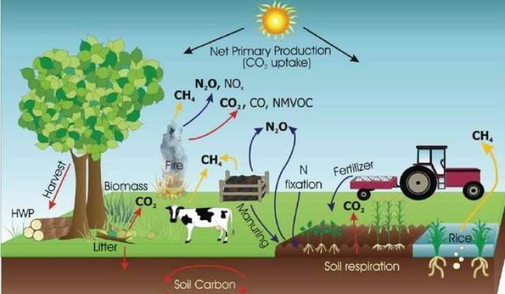 “Beyond Carbon: Why Pakistan Needs a New Climate Vocabulary”