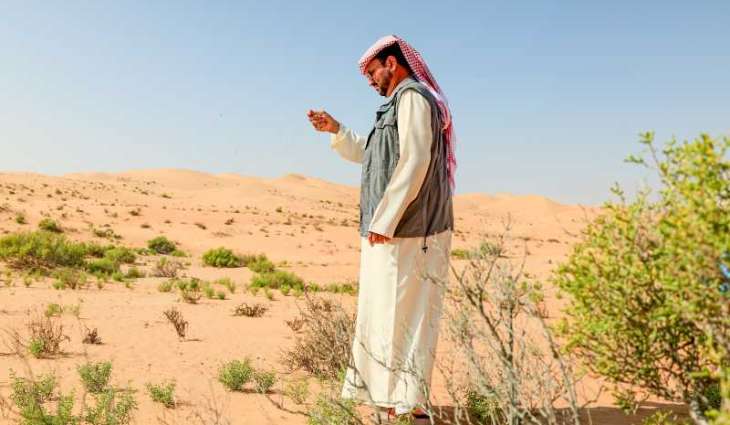 Environment Agency – Abu Dhabi disperses 6.5 million native seeds using drones