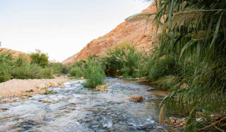 بين الجفاف والتعديات الاستعمارية.. مواطنو الأغوار يحرمون من مياه العوجا