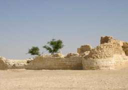 طريق الحج المصري إلى مكة.. إرث ثقافي يطرق أبواب اليونسكو