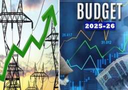 Govt plans additional surcharge on electricity bills in FY2025-26 budget