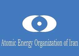 Iranian Atomic Energy Organisation issues statement after US attack on nuclear sites