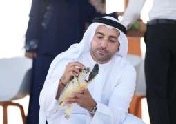 رئيس دائرة السياحة والآثار  يشهد إطلاق اثنتين من السلاحف البحرية بخور أم القيوين 