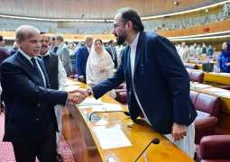 The budget will provide economic stability and open new avenues of facilities for overseas workers. Chaudhry Salik Hussain