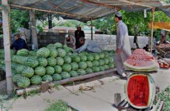 Islamabad High Court stays eviction of vendors from Daman-e-Koh in Margalla Hills