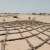FAO Committed to Land Restoration on 'World Day to Combat Desertification and Drought'