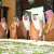 Eastern Region Governor Sponsors Launch of 8,100-Unit Lazurde Destination in Al-Khobar