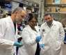 NYU Abu Dhabi researchers develop paper-based diagnostic tool for infectious disease detection