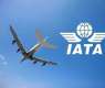 International passenger growth hits 5% in May: IATA