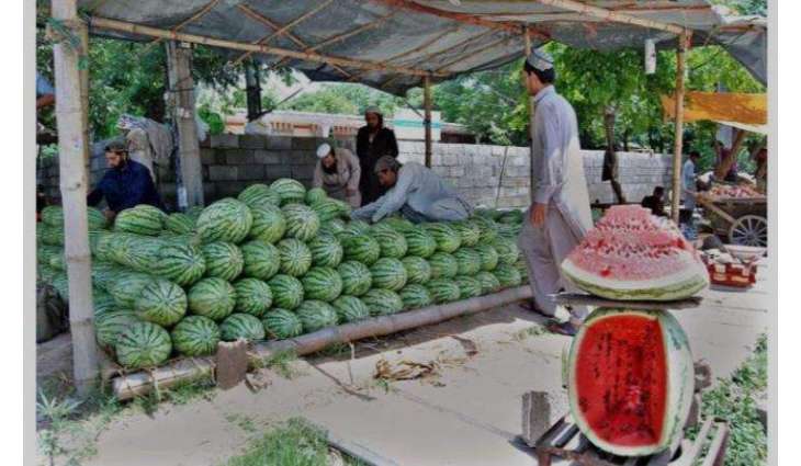 Islamabad High Court stays eviction of vendors from Daman-e-Koh in Margalla Hills
