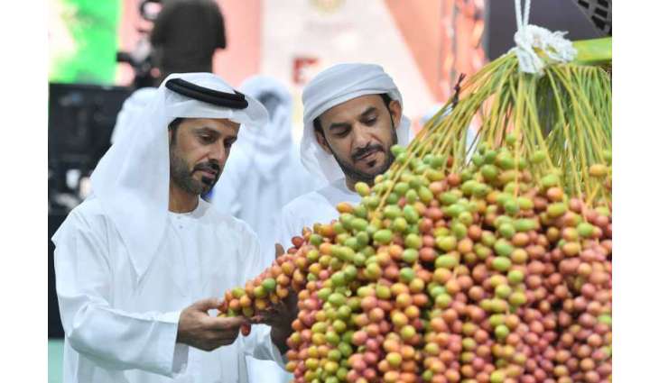 21st Liwa Date Festival to launch on July 14 under patronage of Mansour bin Zayed