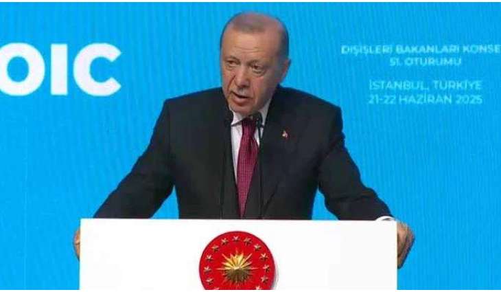 Turkish president urges Muslim unity, condemns Israeli aggression against Iran in OIC huddle