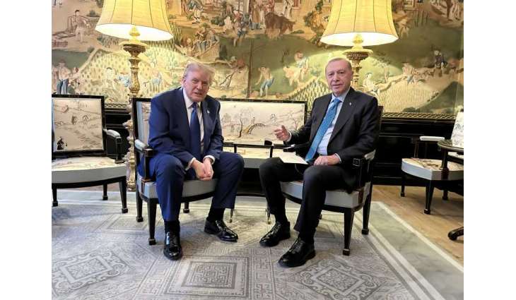 Erdogan, Trump discuss regional, bilateral issues at NATO summit