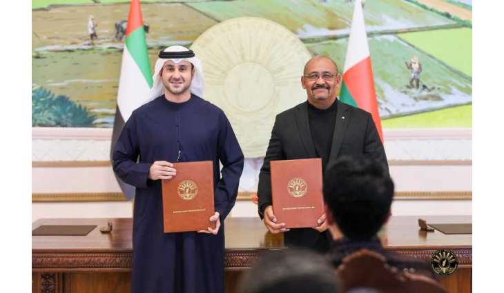 UAE firm to build 50 MW solar project in Madagascar, plans 250 MW expansion