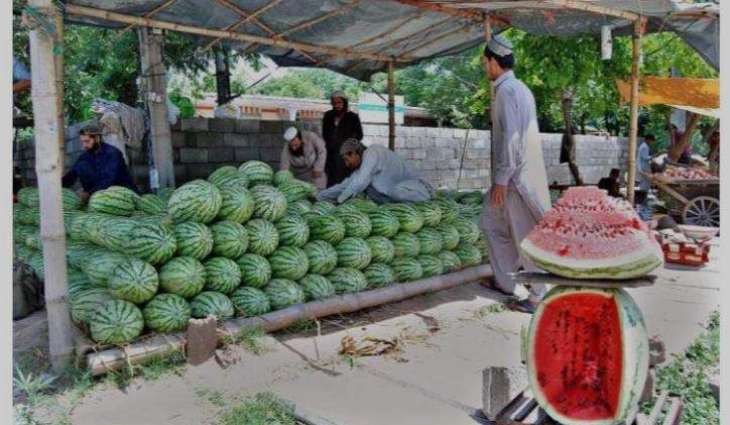 Islamabad High Court stays eviction of vendors from Daman-e-Koh in Margalla Hills