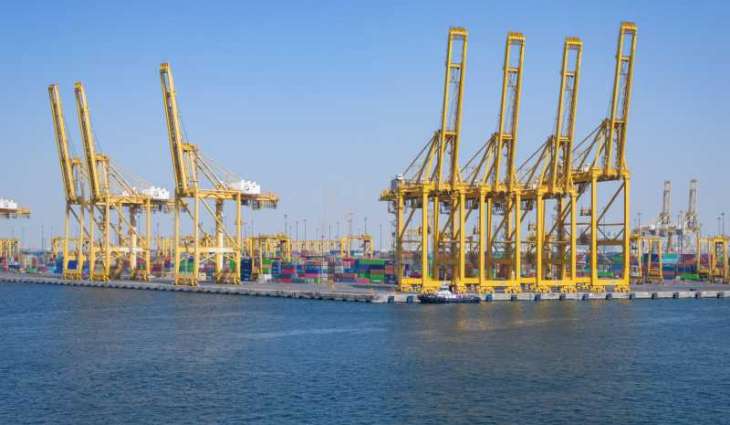 UAE advances as global maritime power through system of legislation, investments