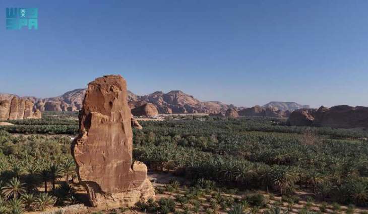 AlUla's Dual Allure: Ancient Rock Formations and Thriving Palm Groves