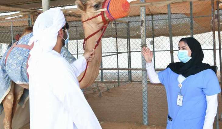 ADAFSA Reference Centre for Camel Diseases leads UAE to global prominence in camel health research on World Camel Day