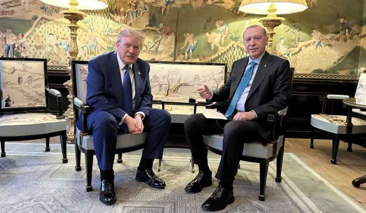 Erdogan, Trump discuss regional, bilateral issues at NATO summit