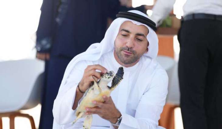 رئيس دائرة السياحة والآثار  يشهد إطلاق اثنتين من السلاحف البحرية بخور أم القيوين 
