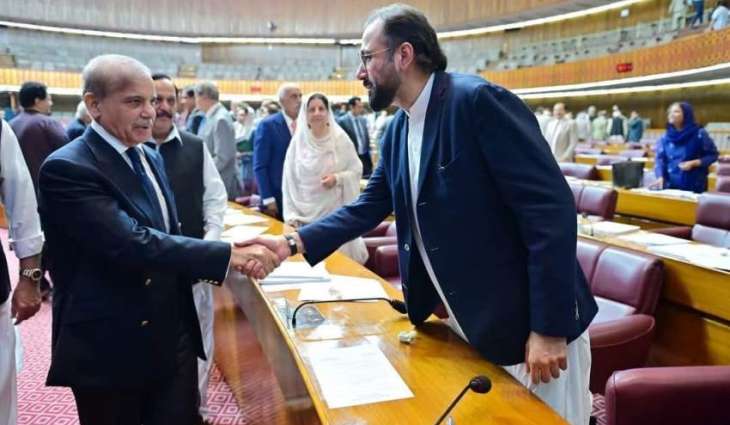 The budget will provide economic stability and open new avenues of facilities for overseas workers. Chaudhry Salik Hussain