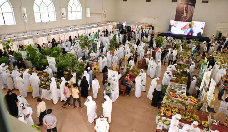 مهرجان خورفكان للمانجو 2025 يستقطب 20 ألف زائر