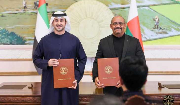 UAE firm to build 50 MW solar project in Madagascar, plans 250 MW expansion