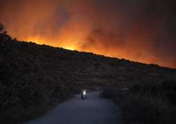 Türkiye records 761 fires in 10 days as whole villages razed in Izmir