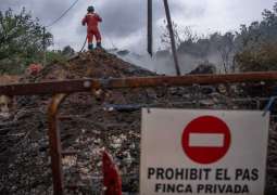 Firefighters bring forest fire near Tarragona in Spain under control