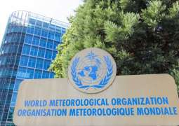 Sandstorms affect 330 million people globally: WMO